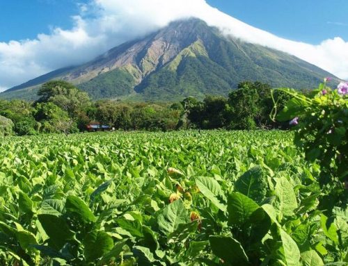 Zoom sur la masterclass au cœur du Nicaragua